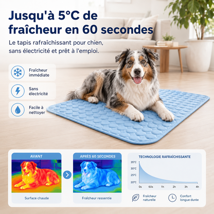 FraîchMat™ 2.0 – Tapis auto-rafraîchissant sans gel pour chien