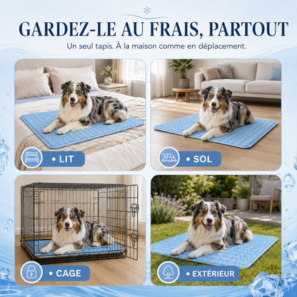 FraîchMat™ 2.0 – Tapis auto-rafraîchissant sans gel pour chien
