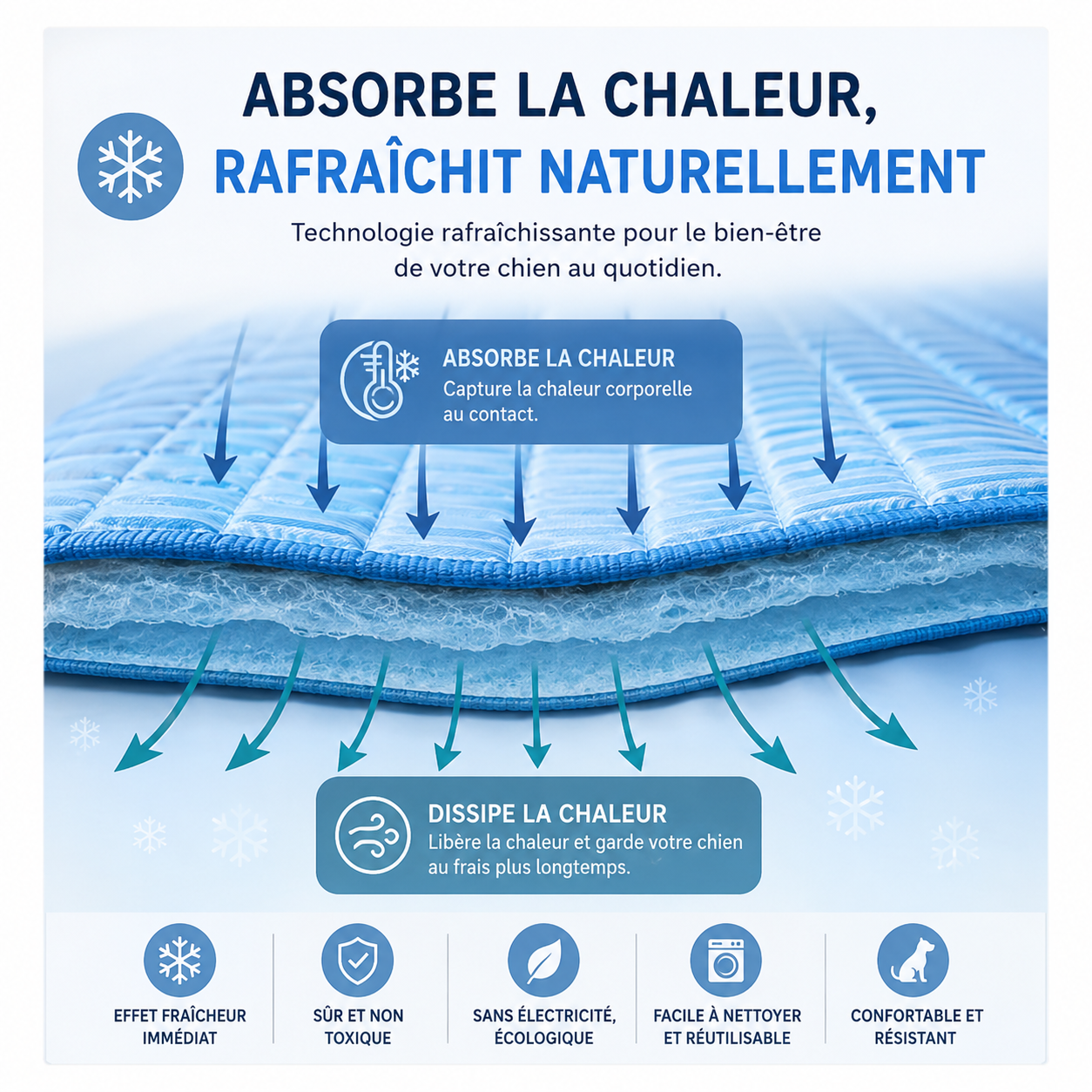 FraîchMat™ 2.0 – Tapis auto-rafraîchissant sans gel pour chien