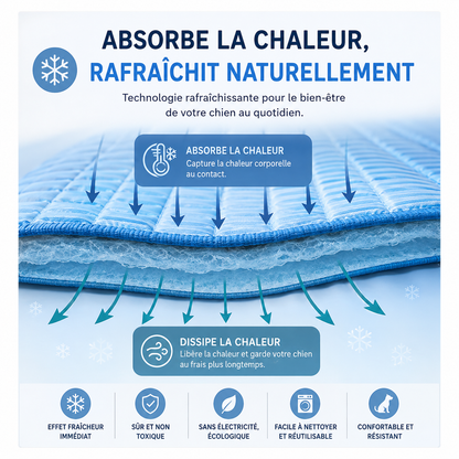 FraîchMat™ 2.0 – Tapis auto-rafraîchissant sans gel pour chien