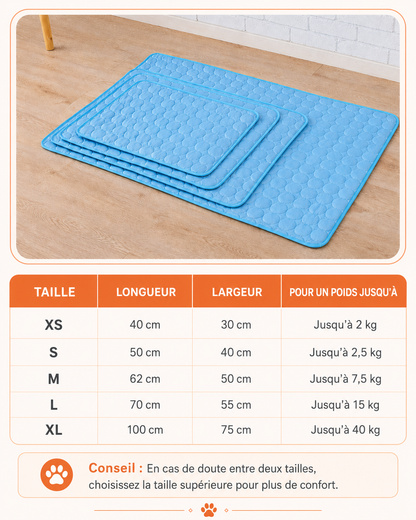 FraîchMat™ 2.0 – Tapis auto-rafraîchissant sans gel pour chien